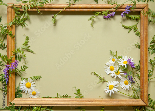 Wooden frame with green leaves, daisies, blue and yellow flowers. Frame with flowers, place for text.