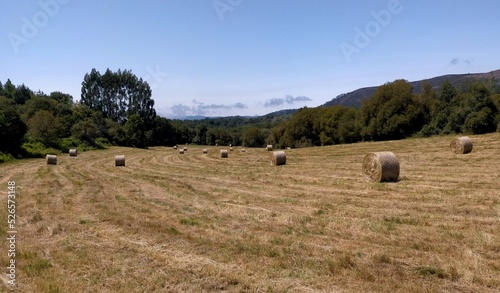 Rollos de hierba en un prado en Galicia