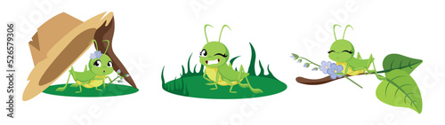Vector illustration of cute and beautiful grasshoppers on white background. Charming characters in different poses hide under his hat, walk on the lawn, sit on a branch with flowers in cartoon style.