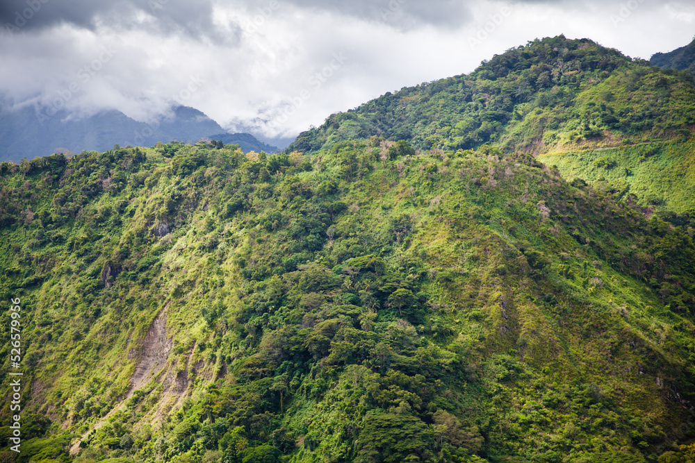 Mountain landscape, nature of the Philippines. A tropical forest. Large forest mountain valley.