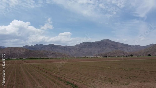 Campo, cultivo, cerro, vista aerea