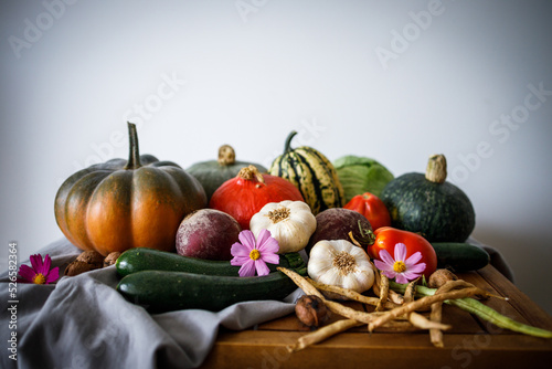 Autumn harvest of various pumpkins and vegetables