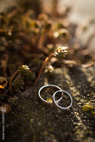 Wedding rings on the stone