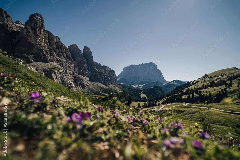 Summer alpine landscape of Dolomites. View of Sassolungo (Langkofel) from Gardena pass. Rocky Dolomiti landscape in summer. South Tyrol, Italy.