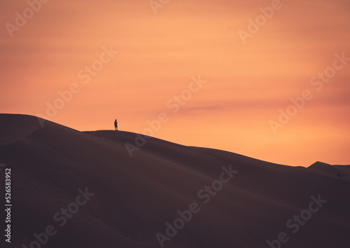 hombre mira al horizonte del desierto