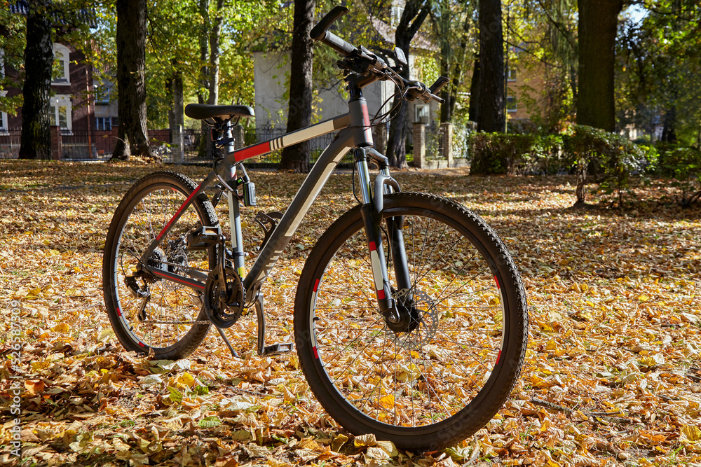 Fototapeta premium Mountain bike in excellent condition in autumn park