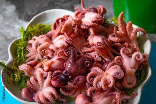 Fototapeta Naklejka Na Ścianę i Meble -  Little octopuses on a plate on the table. Seafood