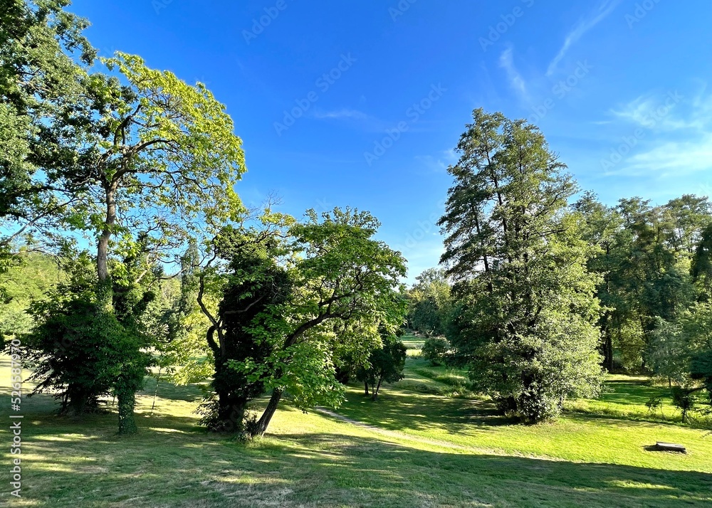 English style garden of Radun castle English style garden of Radun castle