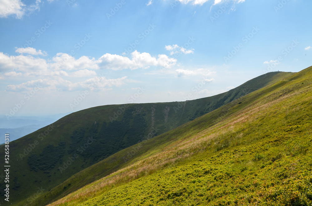 Grassy green hills and slopes at ridge of Borzhava under blue sky with clouds on summer day. Carpathian Mountains, Ukraine
