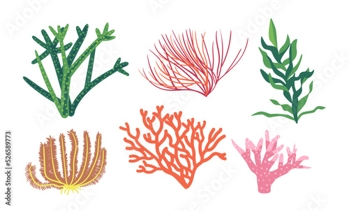 Corals and Seaweeds, Underwater Kelp Or Laminaria Plants. Isolated Marine Or Aquarium Grass, Ocean Life, Vegetation
