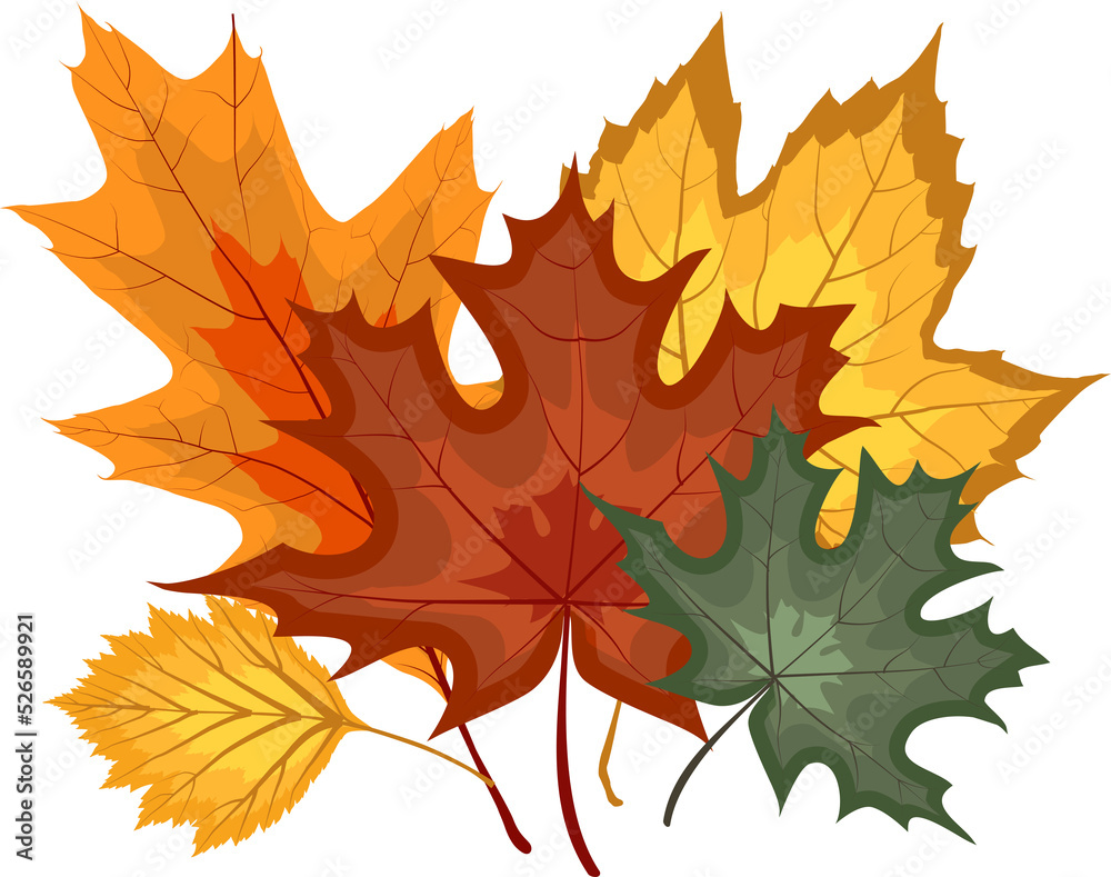 Fototapeta premium Autumn Falling Leaves