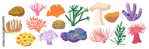 Set Of Coral Reef Or Seaweeds Underwater Plants. Aquarium, Ocean And Undersea Water Life Vegetation, Marine Corals