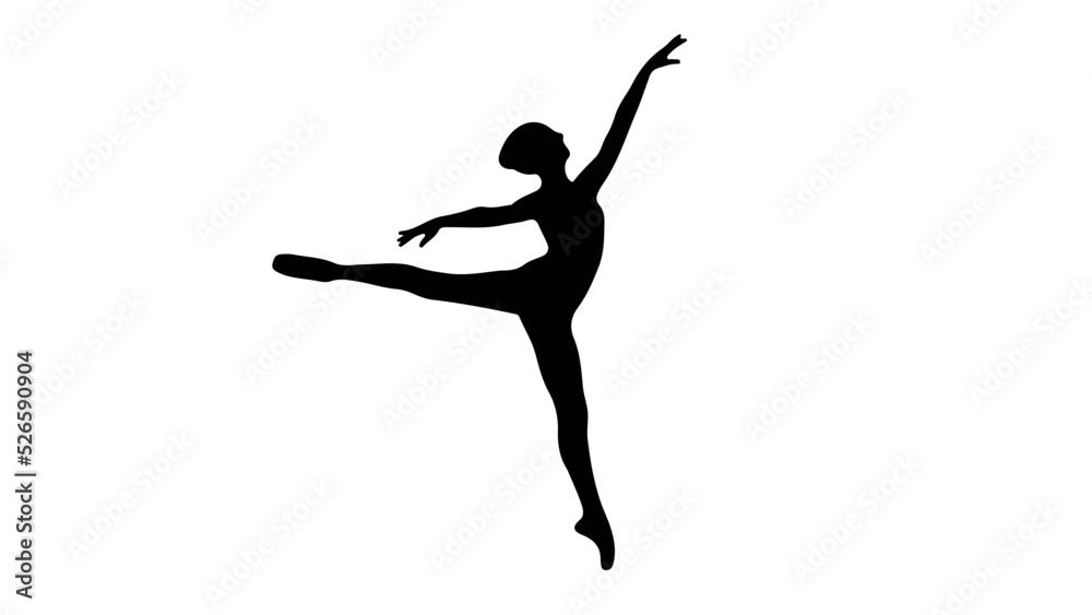 silhouette of a ballet dancer
