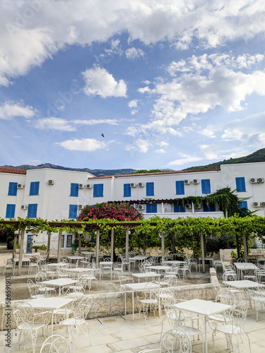 Tables with chairs stand in a pergola entwined with grapes against the backdrop of a white building © Nadtochiy