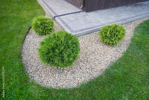 Landscaping in the garden with stones and coniferous bushes of Thuja