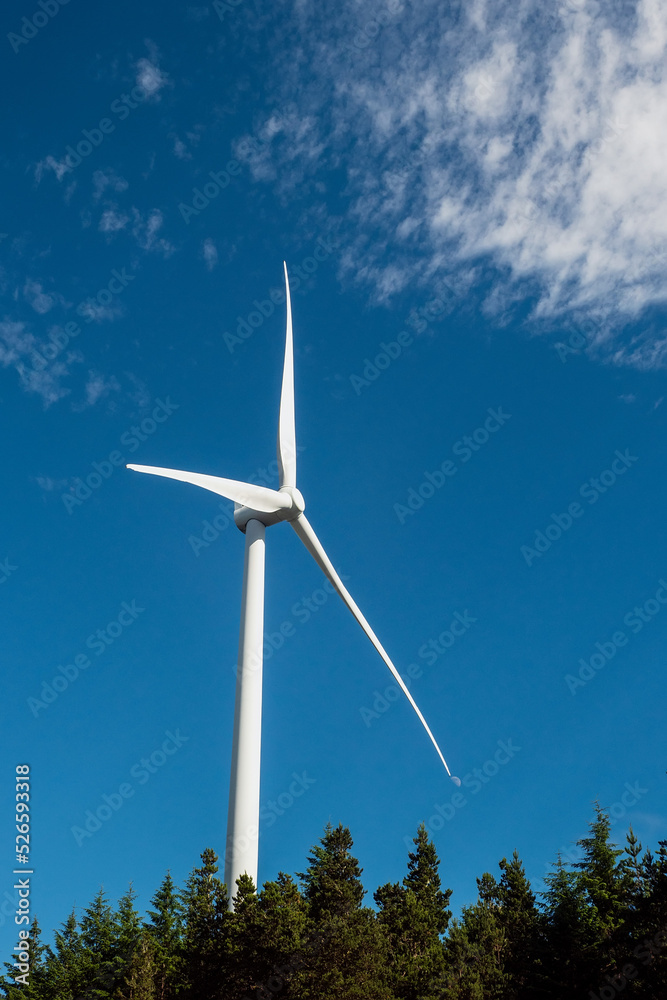 Wind electricity generator turbine in a forest area. Blending technology and nature environment. Production of clean renewable energy. Sunny day. Blue cloudy sky. Energy industry.. Vertical image Wind electricity generator turbine in a forest area. Blending technology and nature environment. Production of clean renewable energy. Sunny day. Blue cloudy sky. Energy industry.. Vertical image
