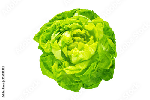 Green trocadero lettuce salad head isolated transparent png