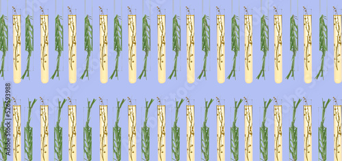 Many test tubes with plants...