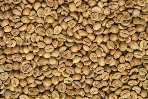 Pile of green robusta coffee beans background or texture.