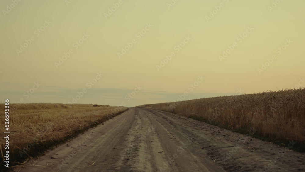 Road wheat field on sunset country landscape. Agri countryside nature concept