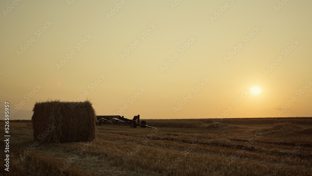 Fototapeta premium Hay bale on wheat field with harvesting equipment at golden sunset. Agro concept