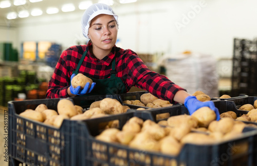 Hardworking young farmer woman inspects potatoes from crates working in the production of a vegetable depot