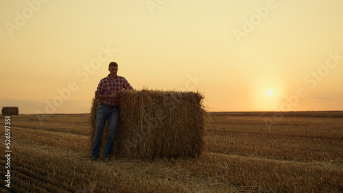 Farmer walk haystack field at golden sunset rural landscape. Agro crop concept