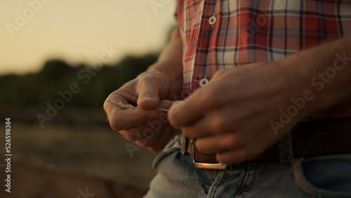 Man hands with wheat spikelets at golden sunset. Farmer check grain quality. © stockbusters