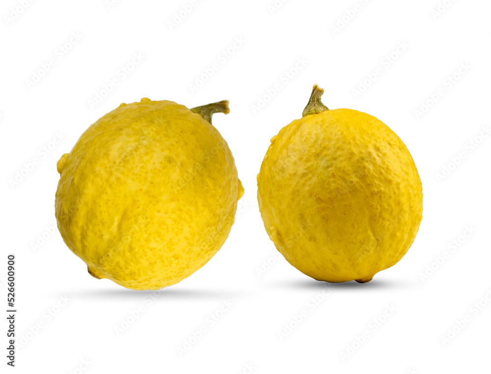 Two bright yellow ripe pumpkins on a white background Two bright yellow ripe pumpkins on a white background