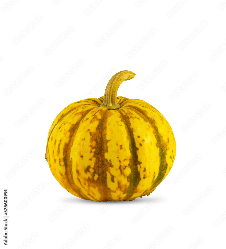 Yellow decorative pumpkin on a white isolated background with copy space