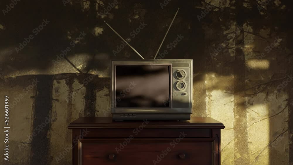 old retro tv with alpha channel screen covered by the shadows of a tree