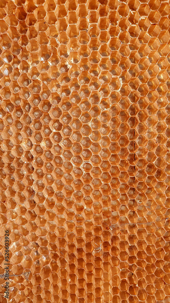 Honeycomb close-up. Reticulated hexagon.