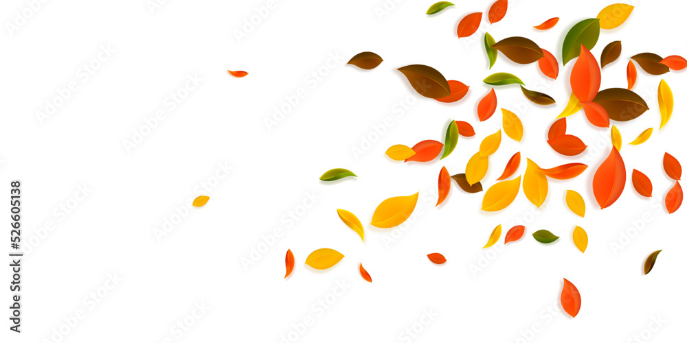 Falling autumn leaves. Red, yellow, green, brown c
