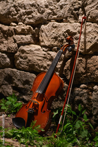 violin and bow near the wall with nice light