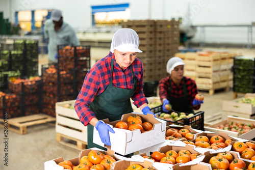 Young woman in uniform carrying crate of ripe tomatoes  working in vegetable factory storehouse.