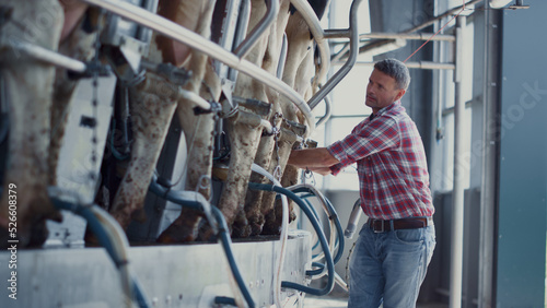 Fotografia Farm worker checking milking automat on mechanical facility