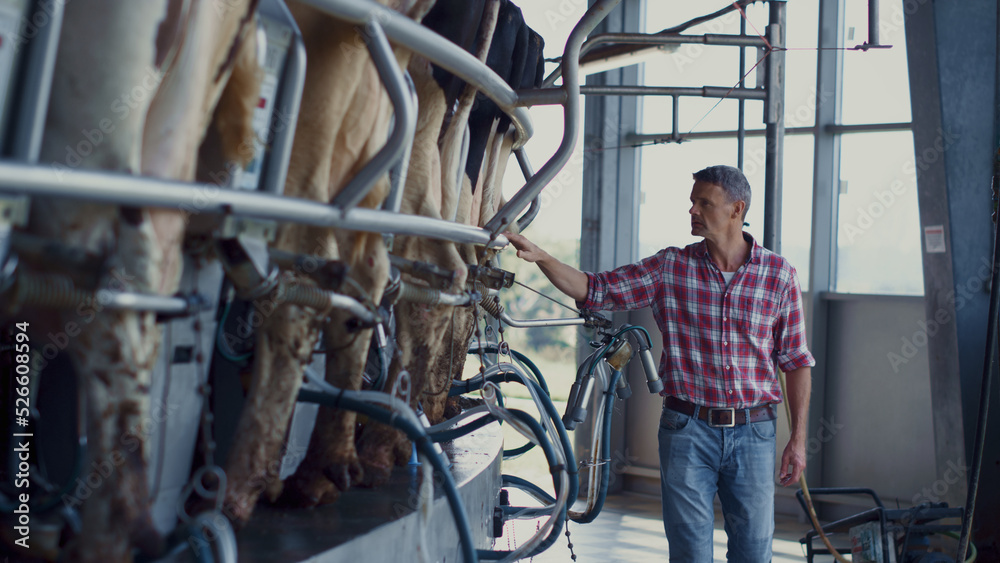 Business owner inspecting milking carousel on dairy farm. Man checking facility.