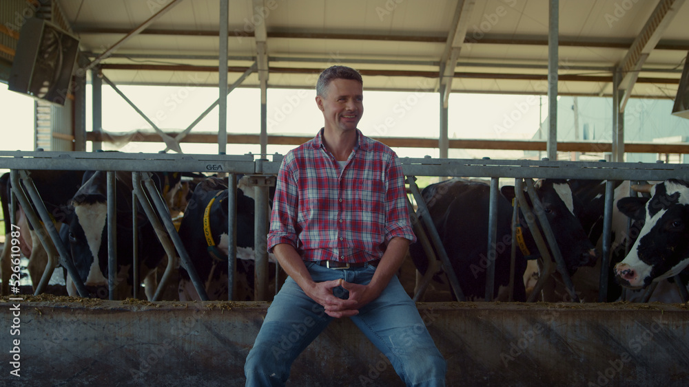 Fototapeta premium Happy farmer sitting cowshed feeder. Agro worker enjoying work process in barn.