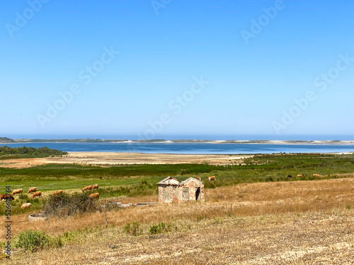 The house and the lagoon.