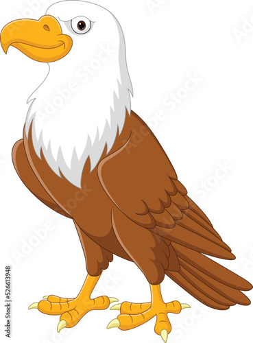 Cartoon eagle on white background