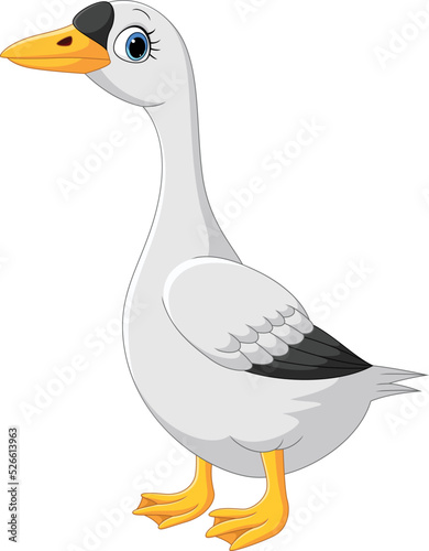 Cartoon cute goose on white background