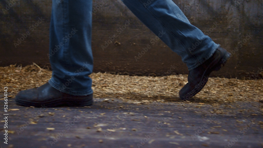 Farmer legs walking cowshed on straw closeup. Worker feet going near stalls. Farmer legs walking cowshed on straw closeup. Worker feet going near stalls.