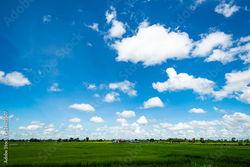 Panorama blue sky with white soft clouds. landscape image of blue sky and thin clouds. © Mohwet