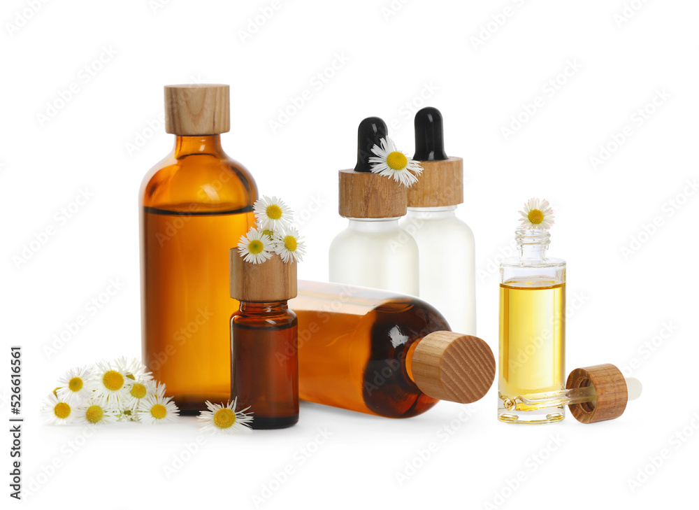 Bottles of chamomile essential oil and flowers on white background Bottles of chamomile essential oil and flowers on white background