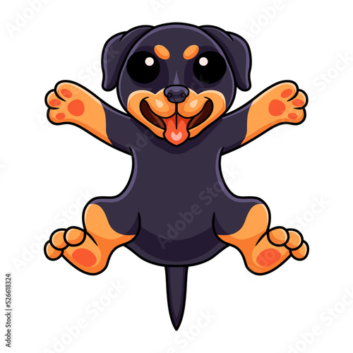 Cute little rottweiler dog cartoon