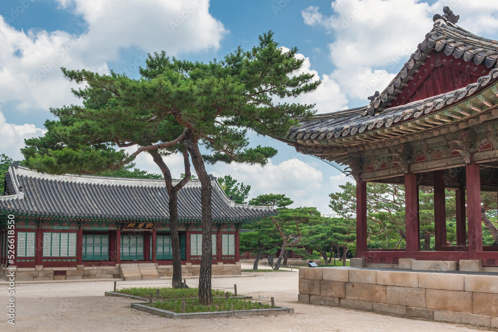Fototapeta premium Colorful Korean painted wood pagoda building complex architecture and tree at the Changdeokgung palace in Seoul South Korea