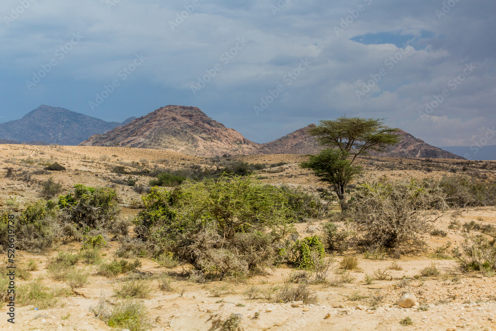 View of a landscape of Somaliland View of a landscape of Somaliland