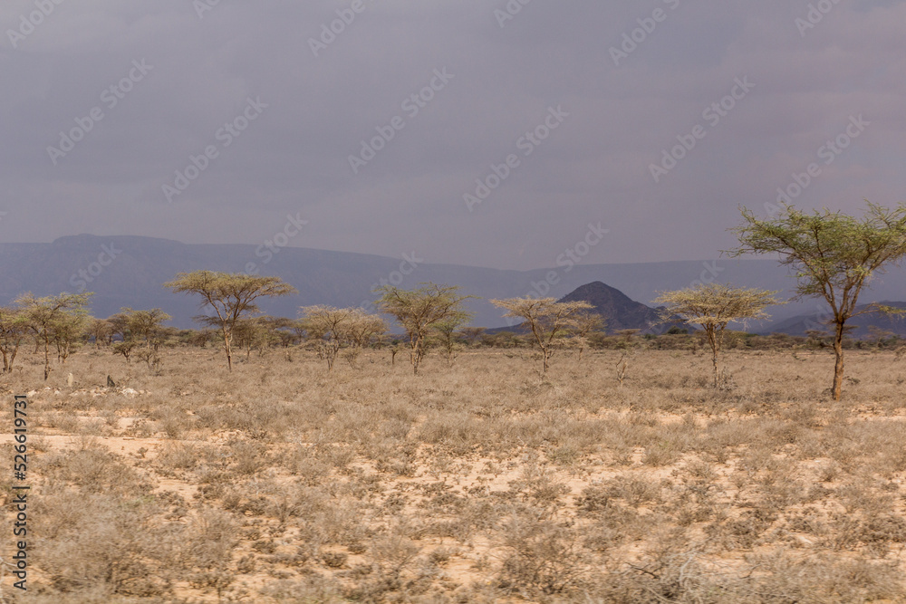 View of a landscape in Somaliland