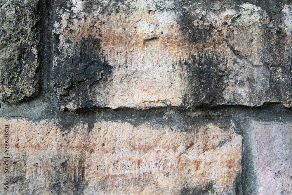 Obraz premium Brick Texture 1