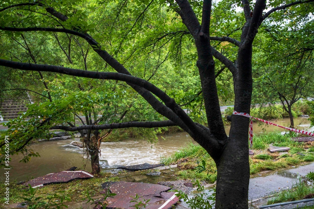 Naklejka premium 분당 탄천